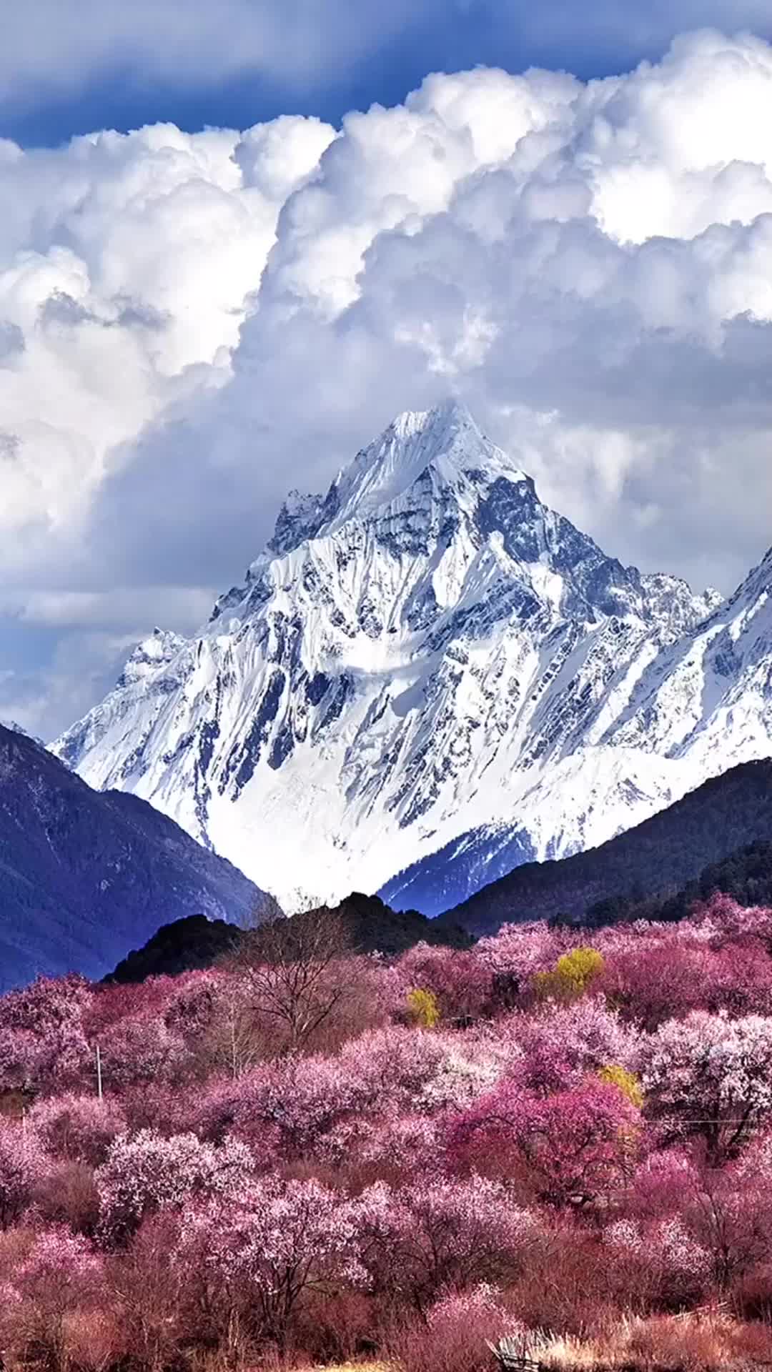 一首怀旧金曲等什么君芳华慢霜雪千年歌声动听醉人心扉