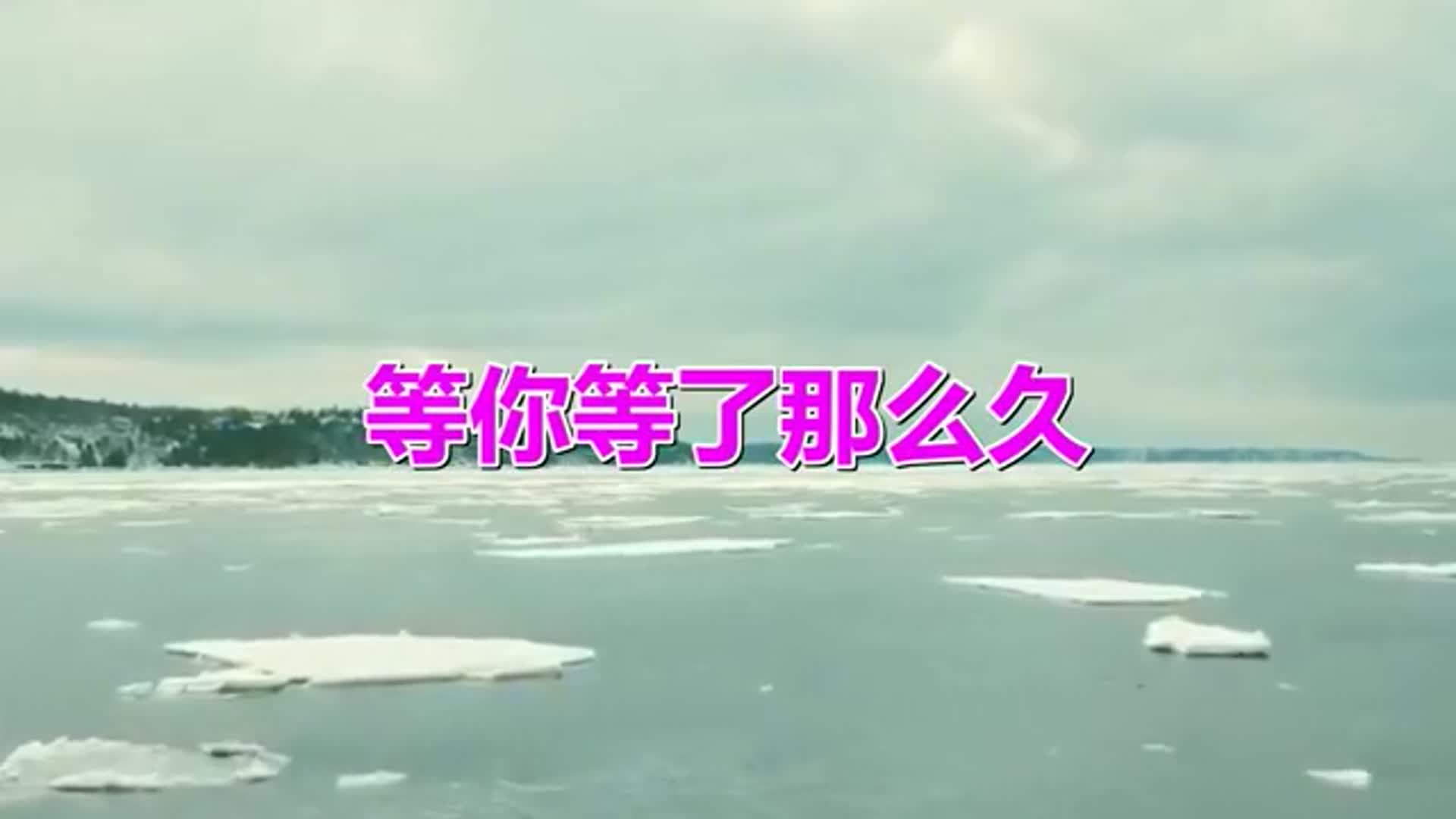 等你等了那么久红尘情歌情人伤不起我的祖国