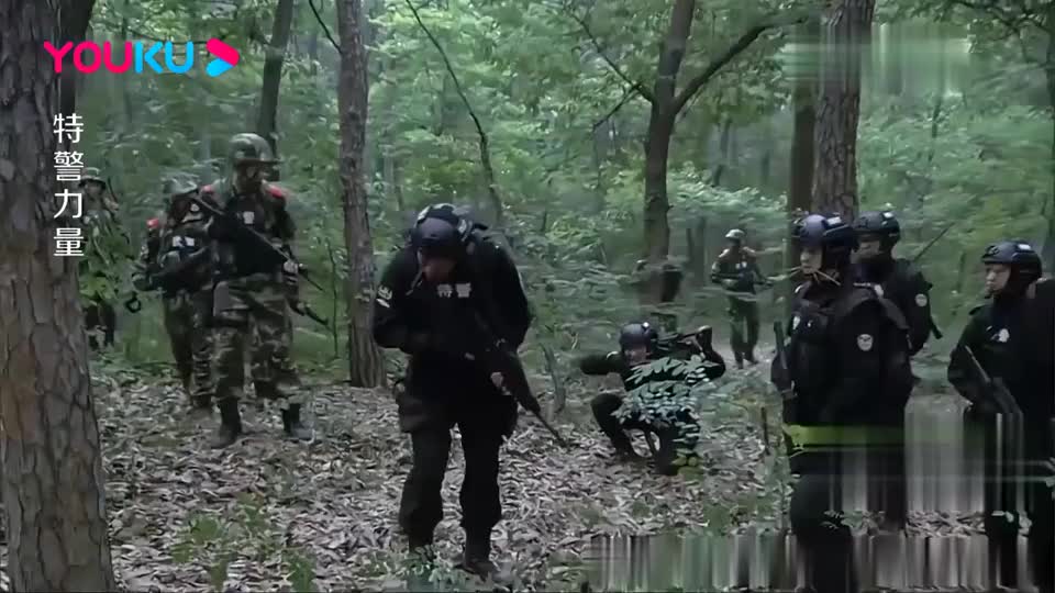 特警力量:武警嘲笑特警像傻子,特警自报家门后,武警直呼偶像啊