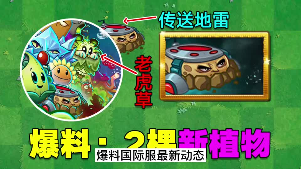 pvz爆料2个新植物来袭传送地雷和老虎草