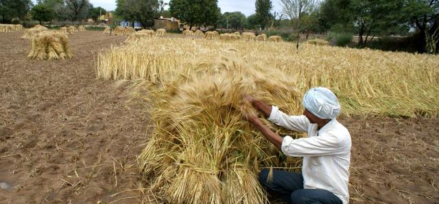 同样是人口大国,为何印度向全球出口粮食,中国却满世界进口粮食休闲区蓝鸢梦想 - Www.slyday.coM 同样是人口大国,为何印度向全球出口粮食,中国却满世界进口粮食休闲区蓝鸢梦想 - Www.slyday.coM