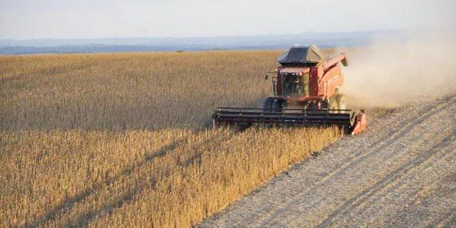 同样是人口大国,为何印度向全球出口粮食,中国却满世界进口粮食休闲区蓝鸢梦想 - Www.slyday.coM 同样是人口大国,为何印度向全球出口粮食,中国却满世界进口粮食休闲区蓝鸢梦想 - Www.slyday.coM