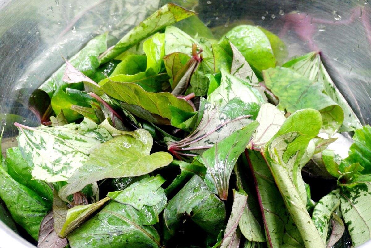 教你蒸红薯叶的做法红薯叶加点面粉鲜香四溢一盘不够吃