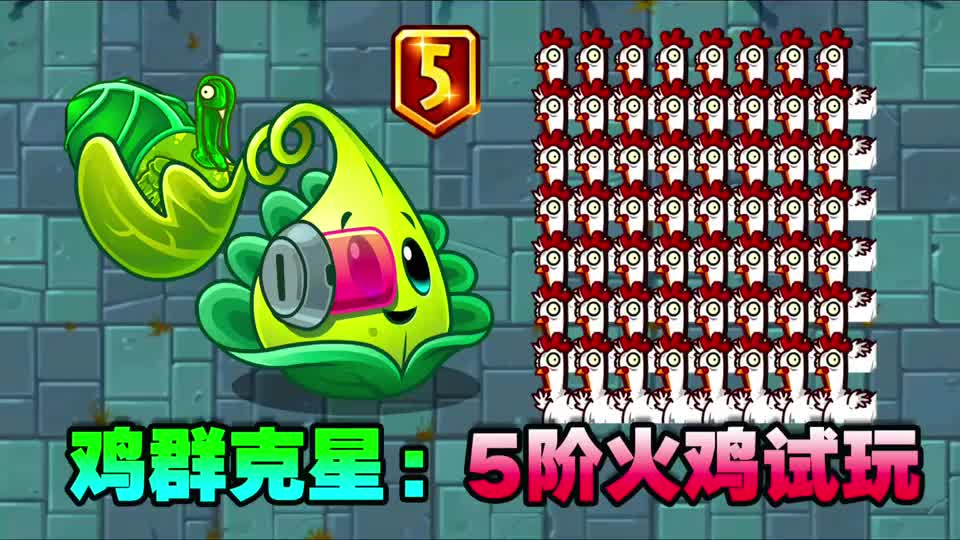 植物大战僵尸5阶火鸡投手试玩他真的是鸡群的克星
