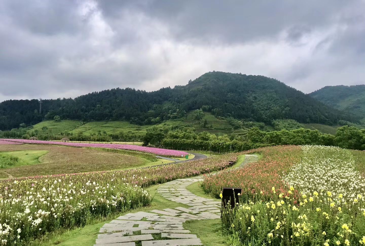 杭州余杭径山花海,风景十分优美