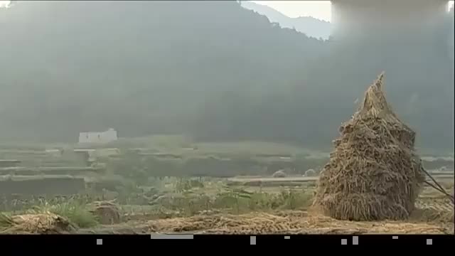 福贵大食堂多日没开荤了满仓为了鼓舞士气让福贵去杀羊