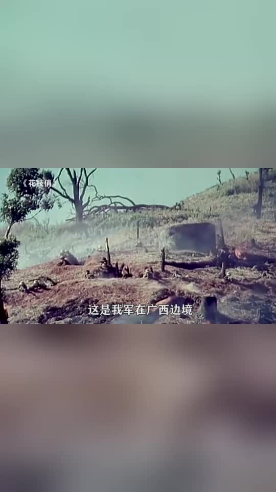 越军炮击广西边境10岁小女孩惨死我军血洗白眼狼阵地战争片