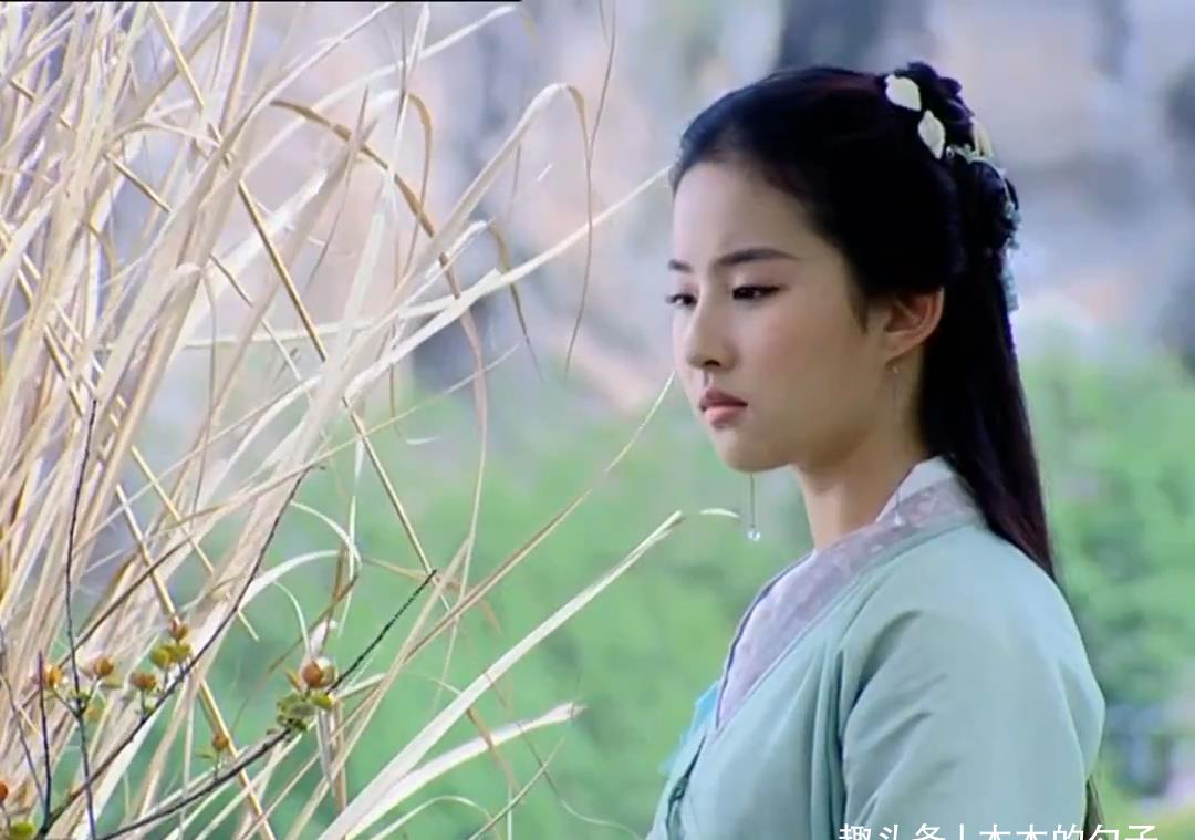 《仙剑奇侠传1》红色蒲公英有什么含义?让灵儿对它情有独钟