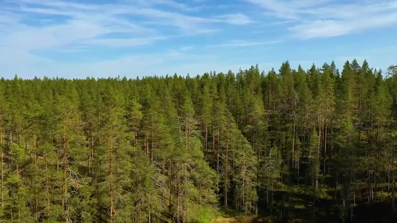 我刚刚看了《陈少华-失望》特别好看,强力推荐哦