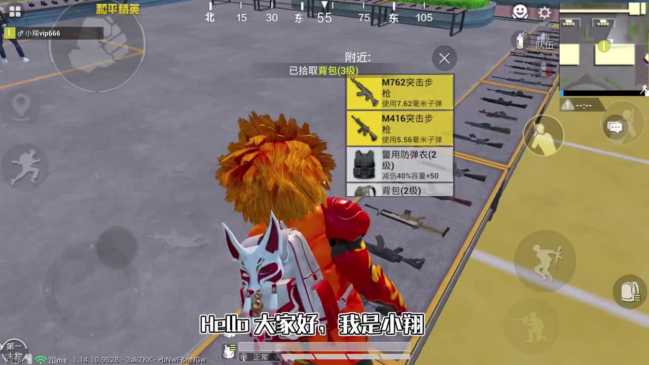 和平精英揭秘slr和sks谁更强职业玩家都在用涨知识