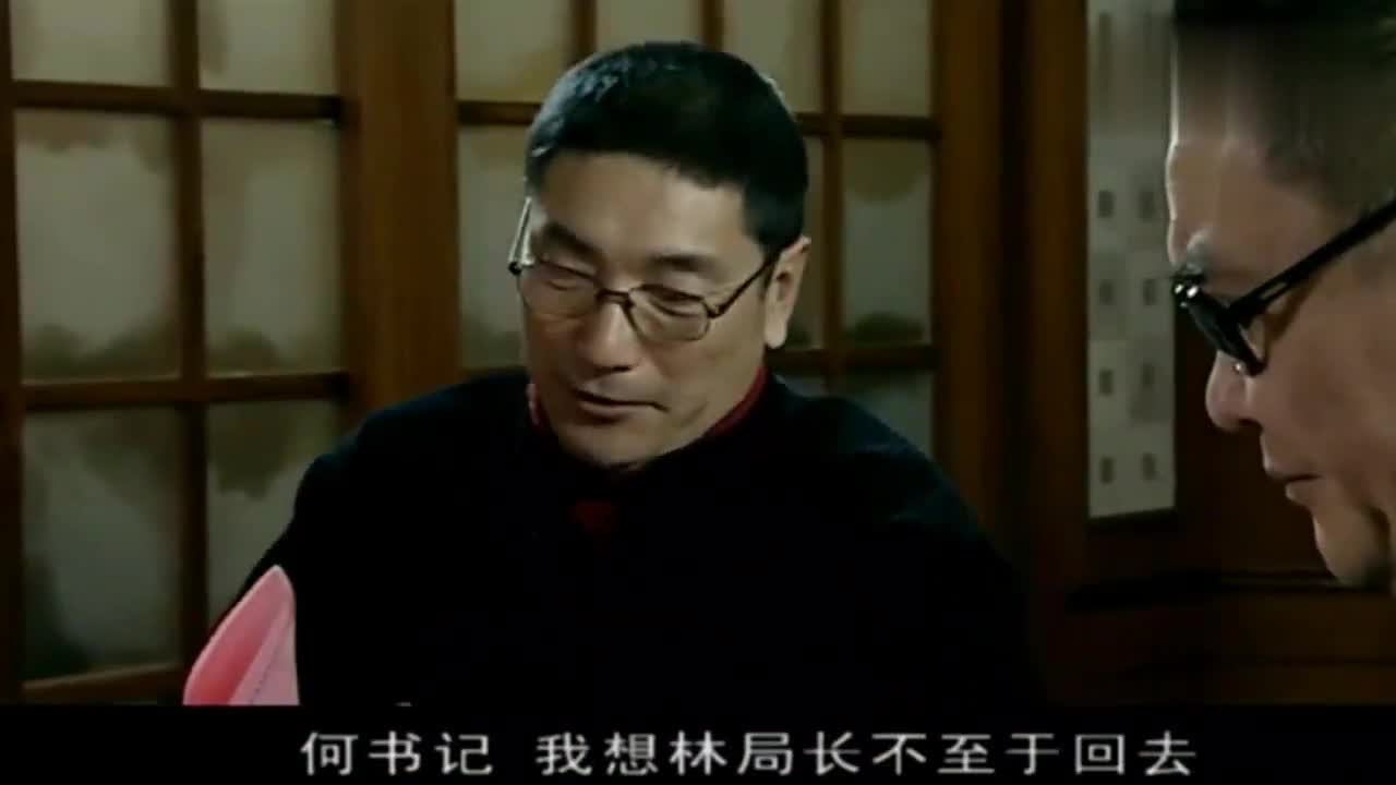使命林荫看穿何大来的用意三人悄悄离开酒楼赶到大桥派出所
