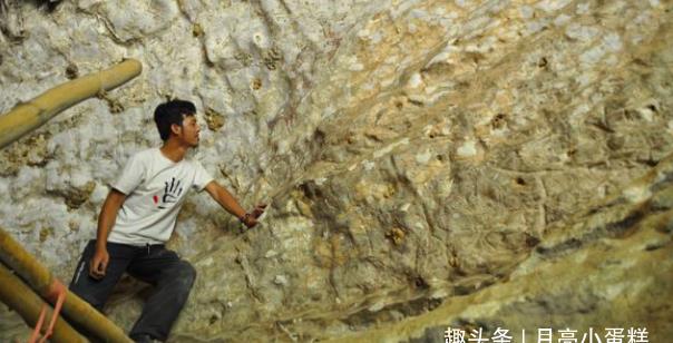 科学家在印尼山洞里发现了上古壁画，其中有个8人分身来源很神秘