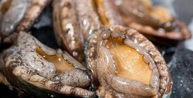 鲍鱼相信大家都吃过,但是国宴做法的红烧鲍鱼,您吃过吗?