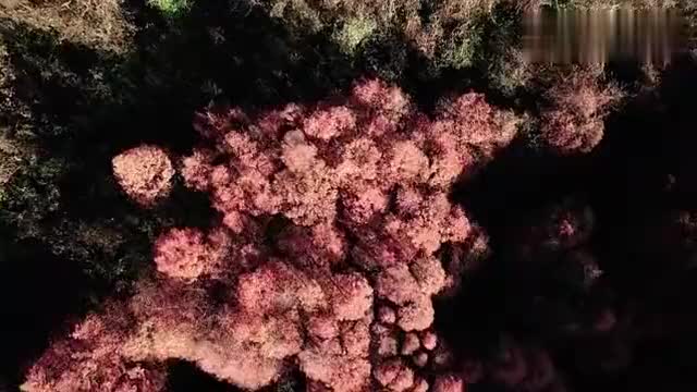 视频：深度试驾十代索纳塔，开一次你就会爱上它