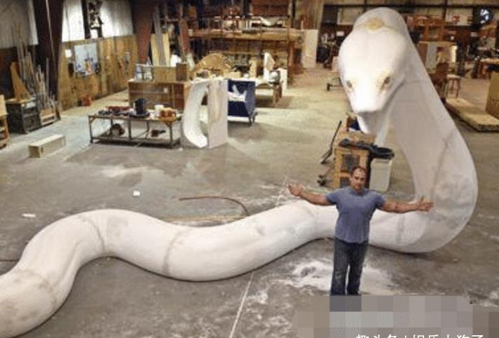 这就是史前最大的巨蟒,网友:此乃蛟龙