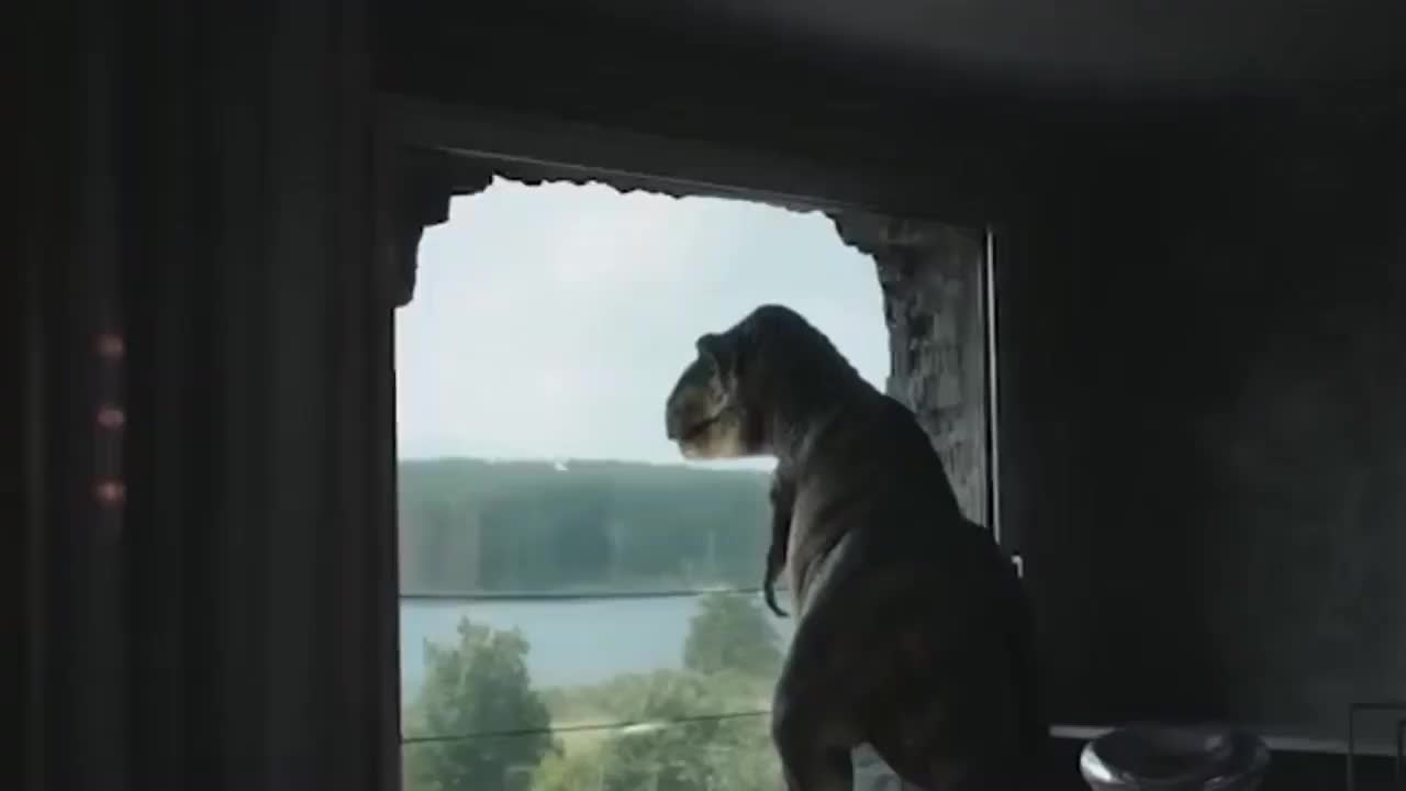 奥迪经典创意广告， 你看过了吗？