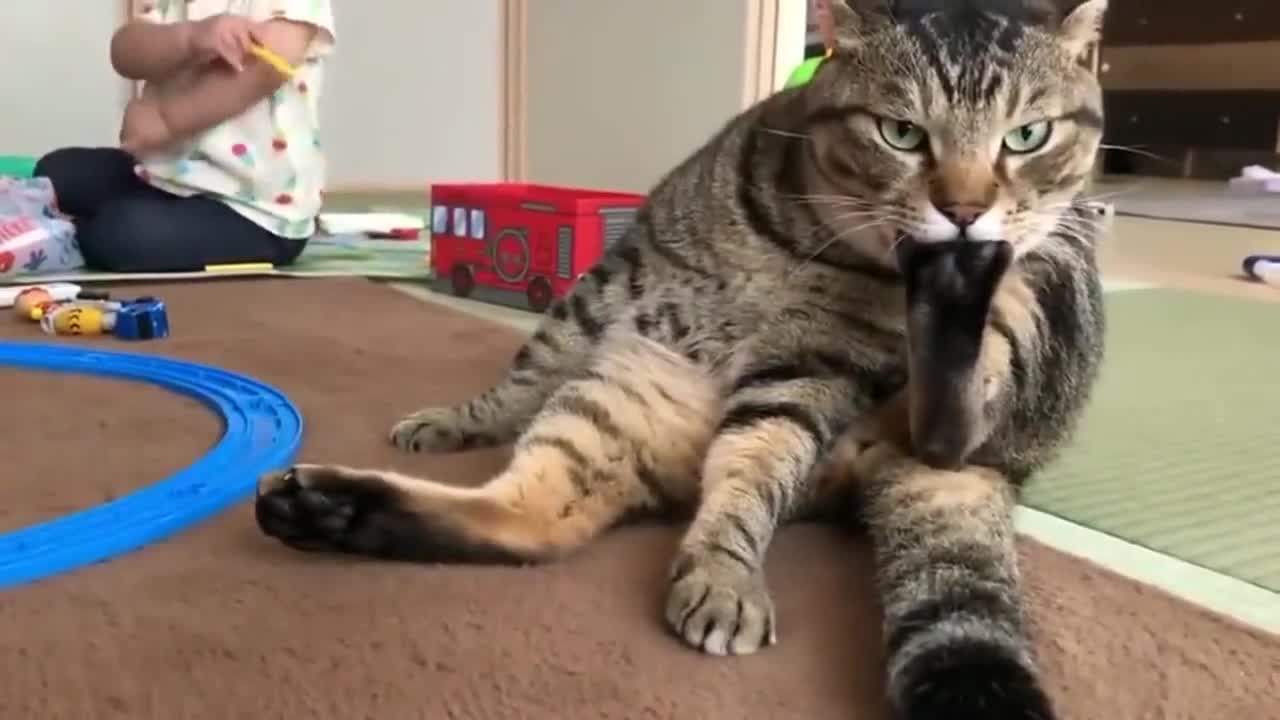 猫咪啃脚把隔壁的孩子馋哭了