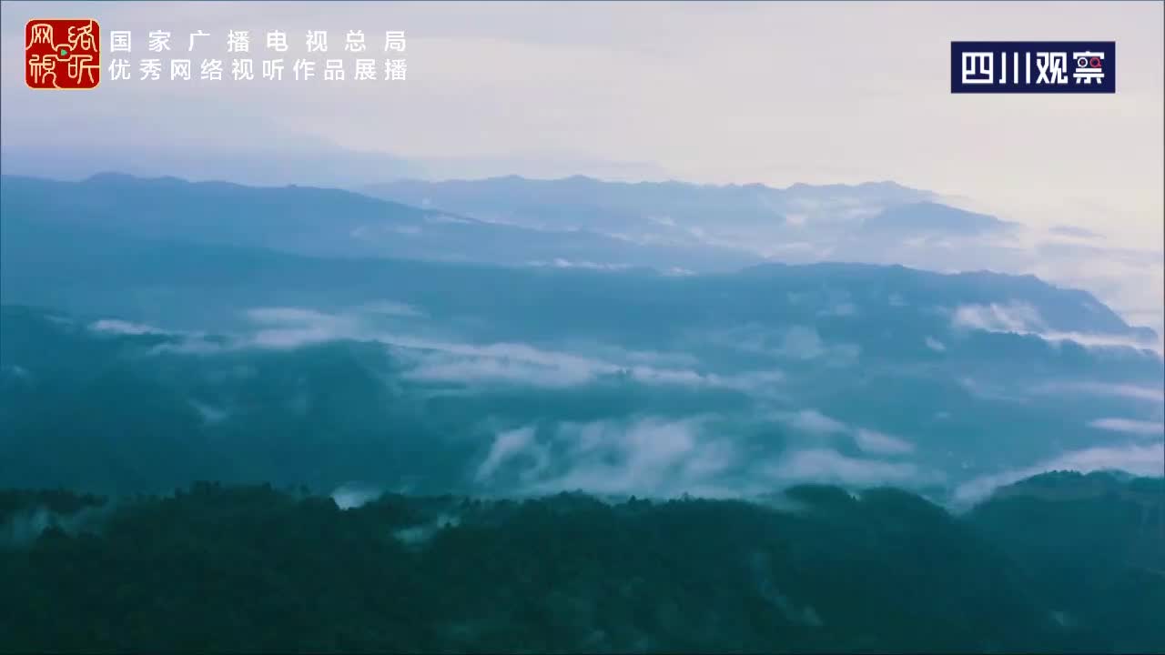 探秘大熊猫国家公园——川陕甘5G融媒体联合直播