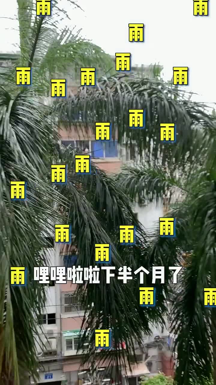 南方的雨咋这么多呢