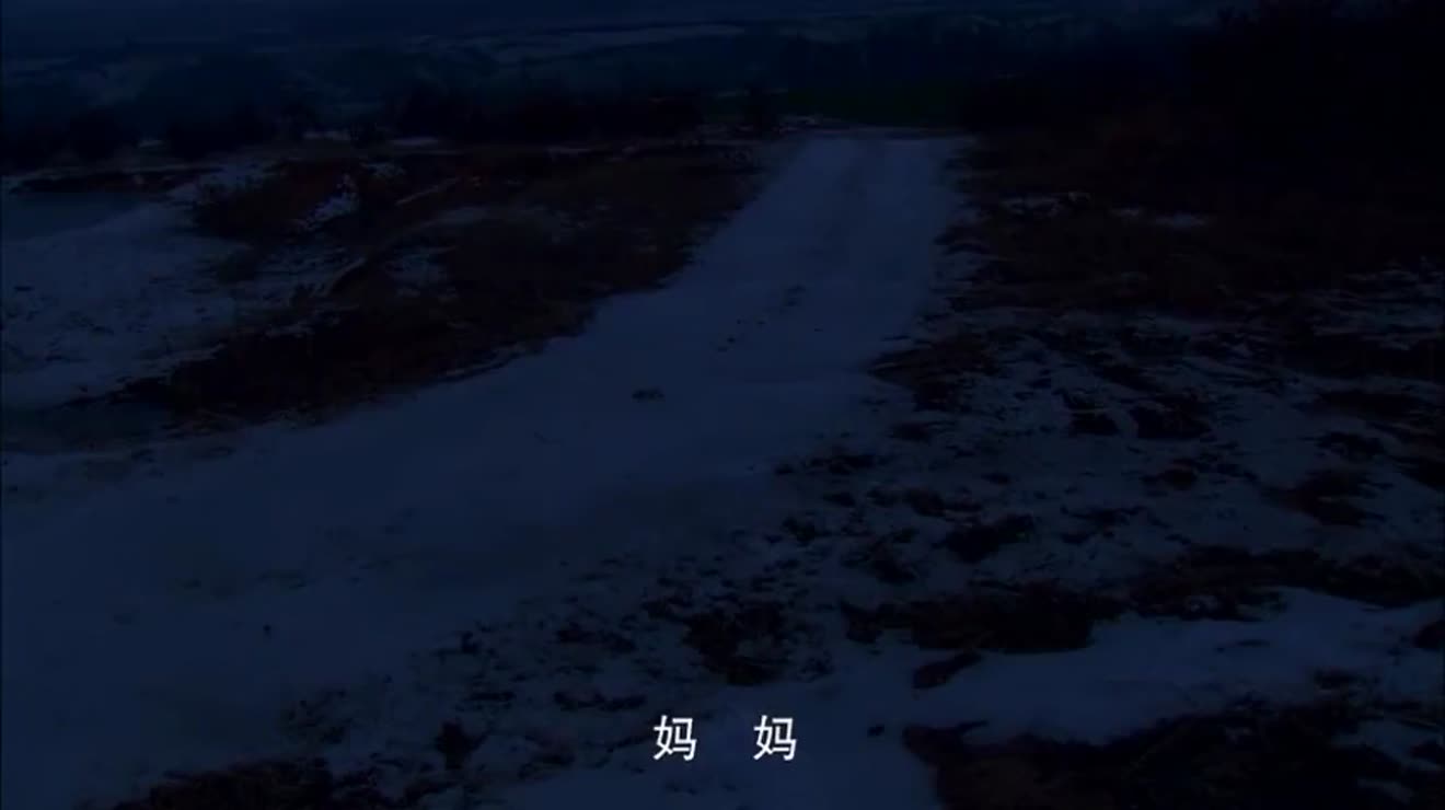乡里彩虹城里雨:孩子们除夕夜站村口等爸妈,爸妈城里工作想孩子
