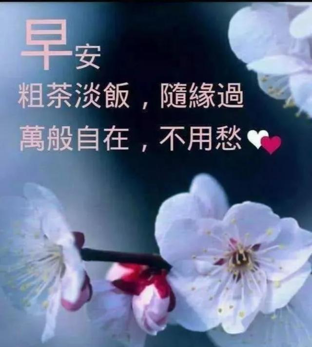 清早送给大家特别温馨的早安心语问候好看的唯美早安祝福表情