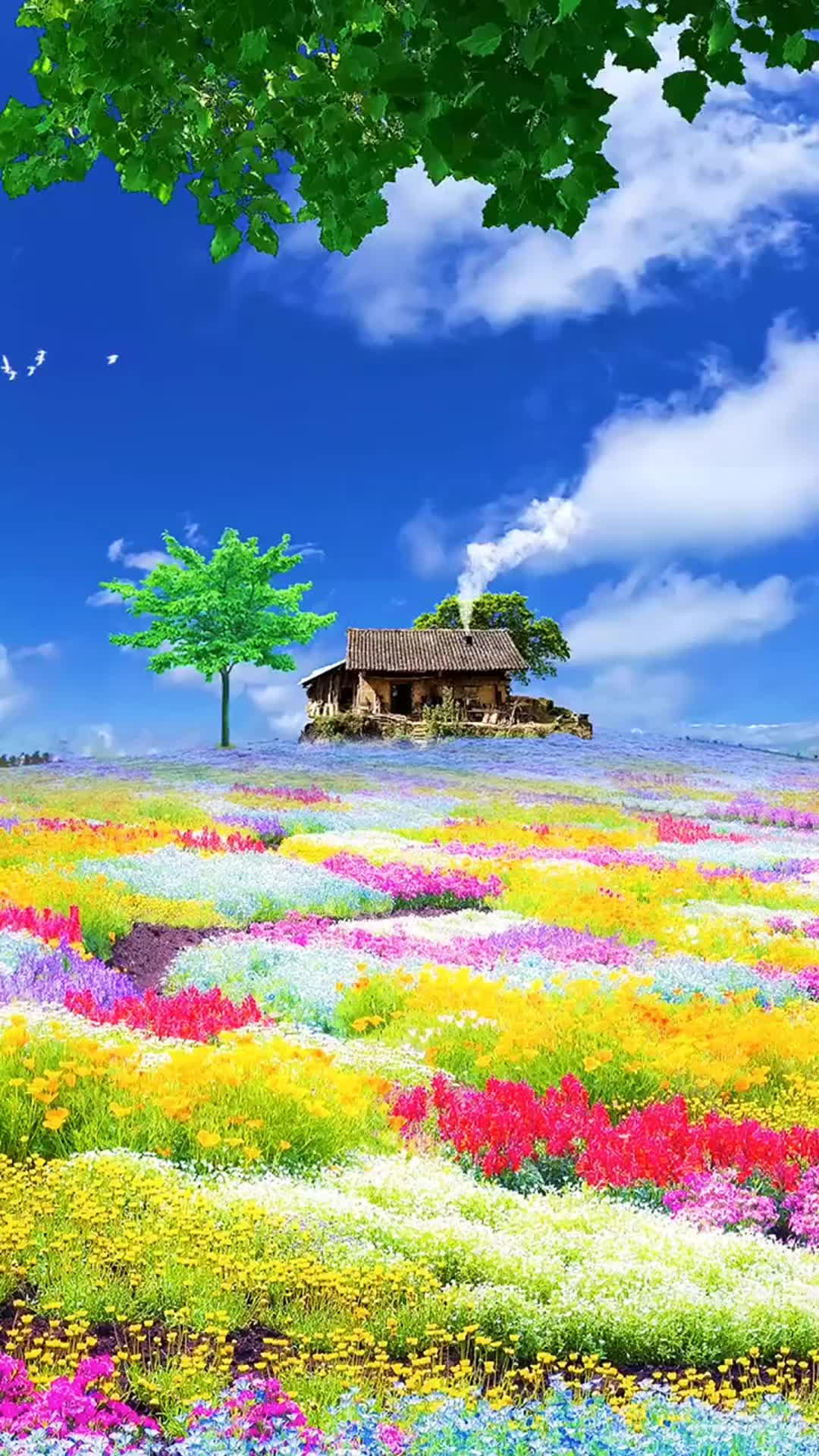 最近朋友圈很火的一首等什么君难渡让人沉醉希望你快乐