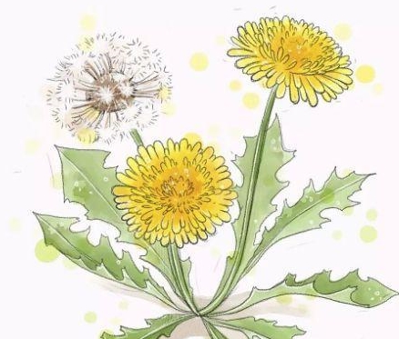 感染幽门螺杆菌有什么症状？如何自测？