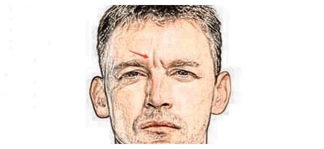 悬针纹图片 新浪网