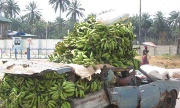 GIF合集：要不是我手扶拖拉机没油！你能超过我！