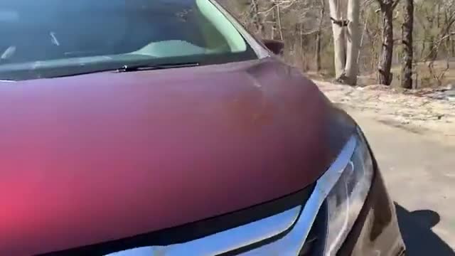 2019款本田奥德赛实拍，新款比GL8还好看