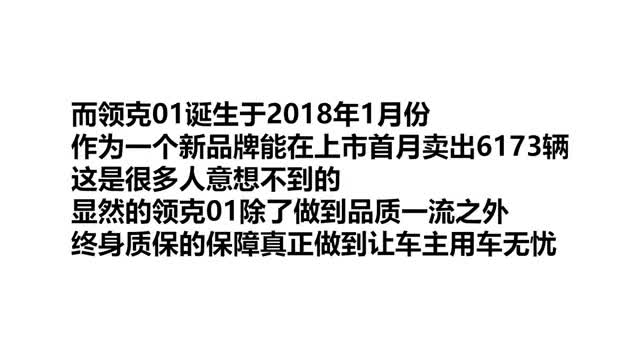 终身质保SUV，国六190马力，一箱油830公里，车主：就是看对眼了