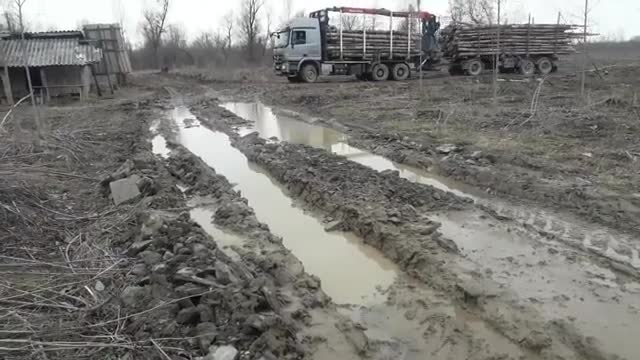 实拍奔驰大货车运输木材，车不错，不过我更佩服这司机