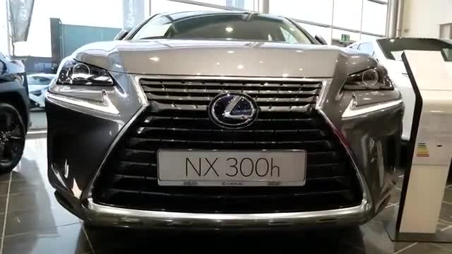 2020款雷克萨斯NX300h，海外实拍