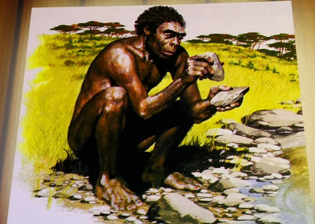 古人类化石作用 为何人类化石比恐龙化石稀少