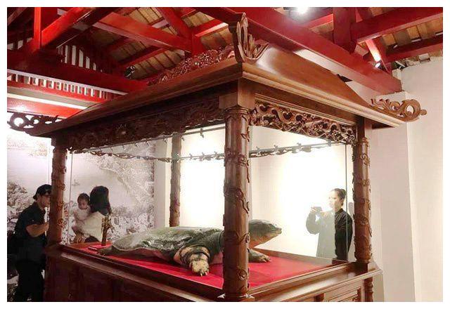 越南国宝千年神龟标本正式对外展示曾是世界最大乌龟头大如牛