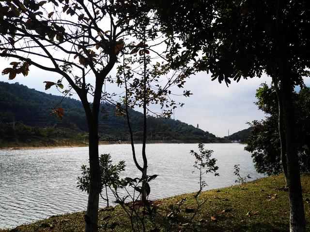 东莞凤岗南门山森林公园掠影,水库的风景很不错