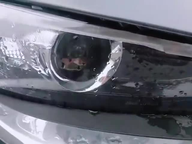 车主实拍：马自达3昂克赛拉内饰