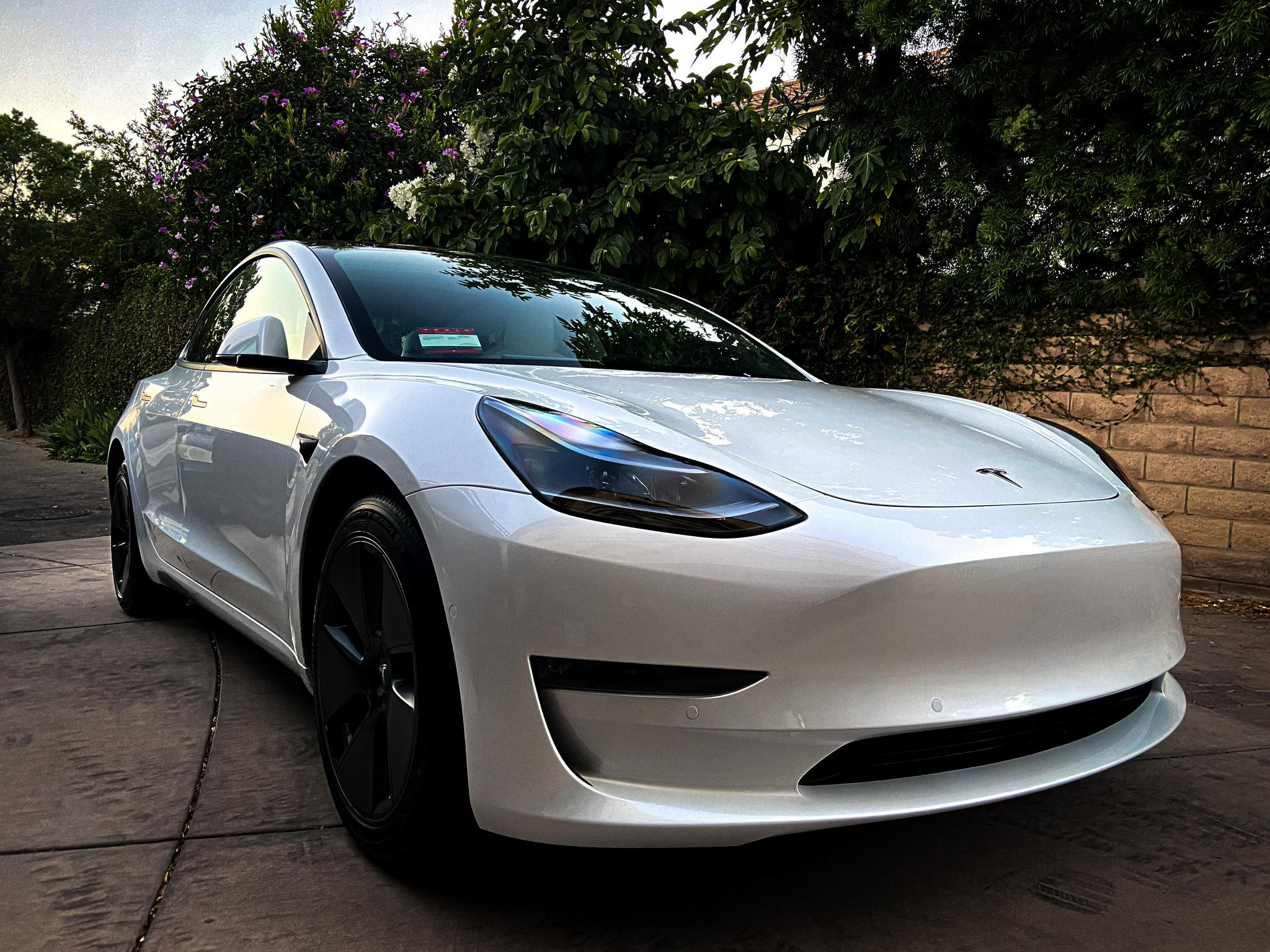 特斯拉Model 3白色,特斯拉model y 白色 特斯拉model 3,上半年法国电动汽车销冠,总榜第5