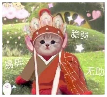 表情包:西游记之喵星人的表情