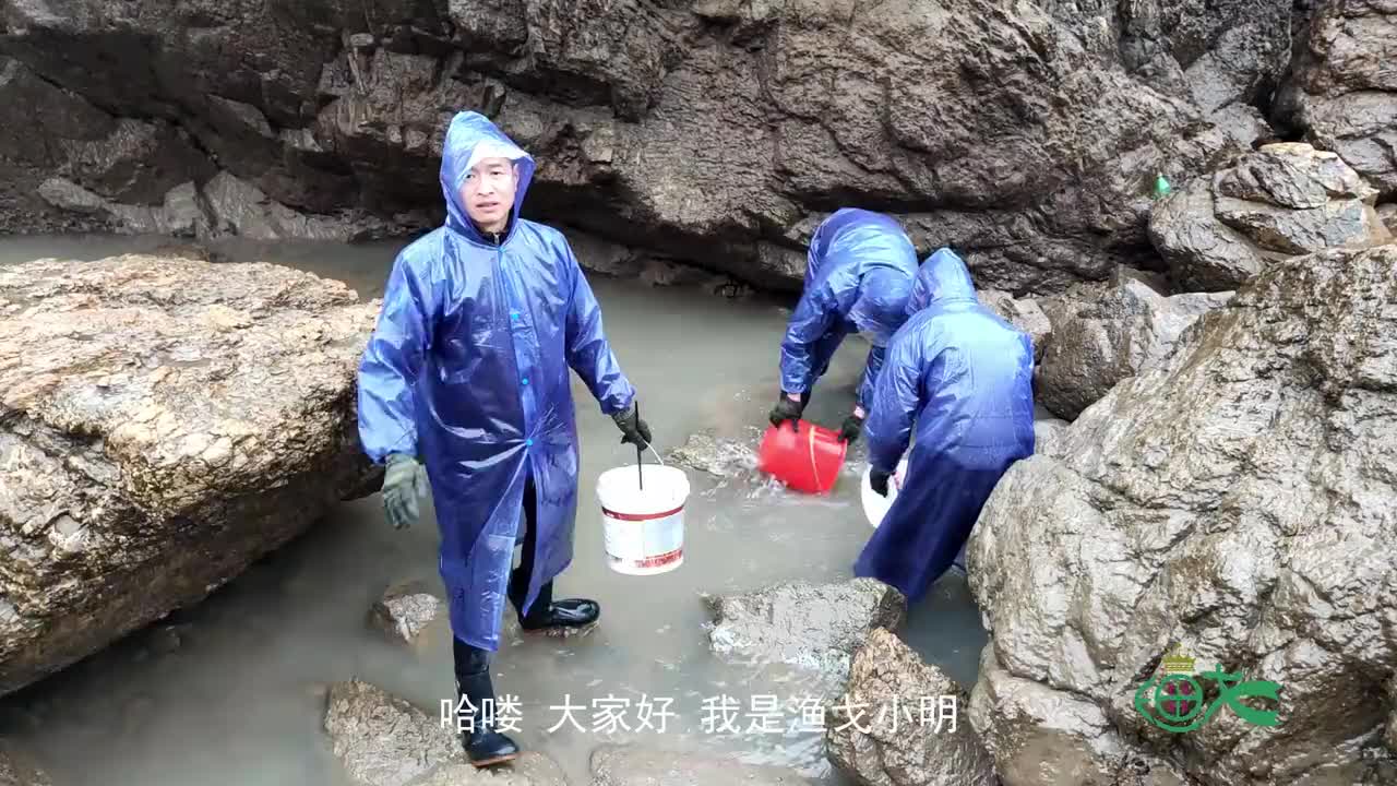 渔戈兄弟风雨无阻去赶海,虽然很辛苦,但是他们的收获