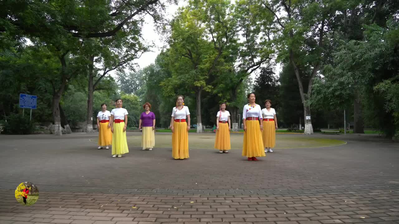 龙缘广场舞圣洁与你同在你让我的心海里浪花绽开