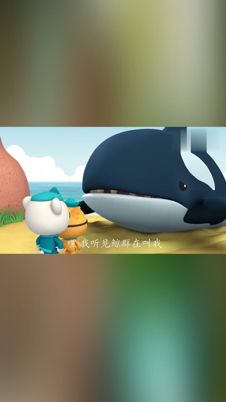 海底小纵队鲸鱼被在岸上一大群鲸鱼从远处来队长前去协调