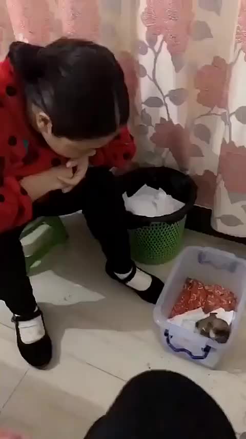 “我不知道我有多喜欢你，但如果是去见你，我一定是用跑的…_新浪新闻