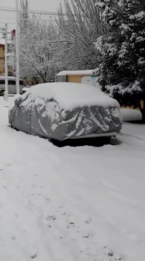 冬季给爱车配个车衣用处还挺大的