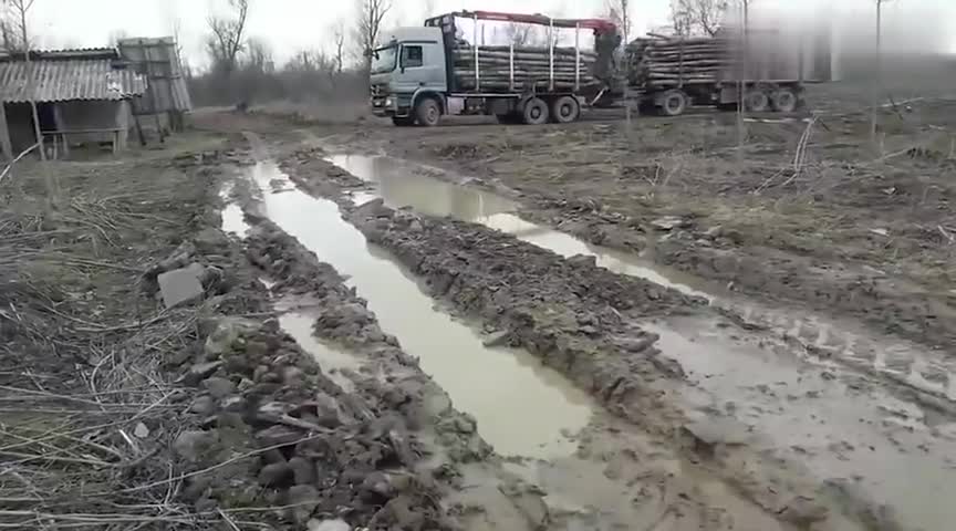 实拍奔驰大货车运输木材，车不错，不过我更佩服这司机！