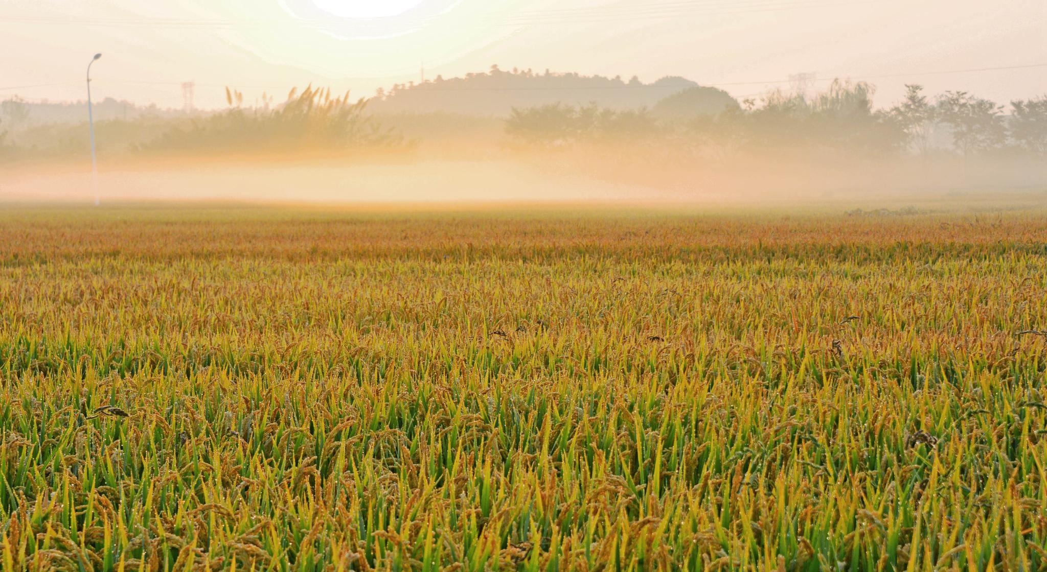 当月“亮”起来的时候,我们看见了什么?...