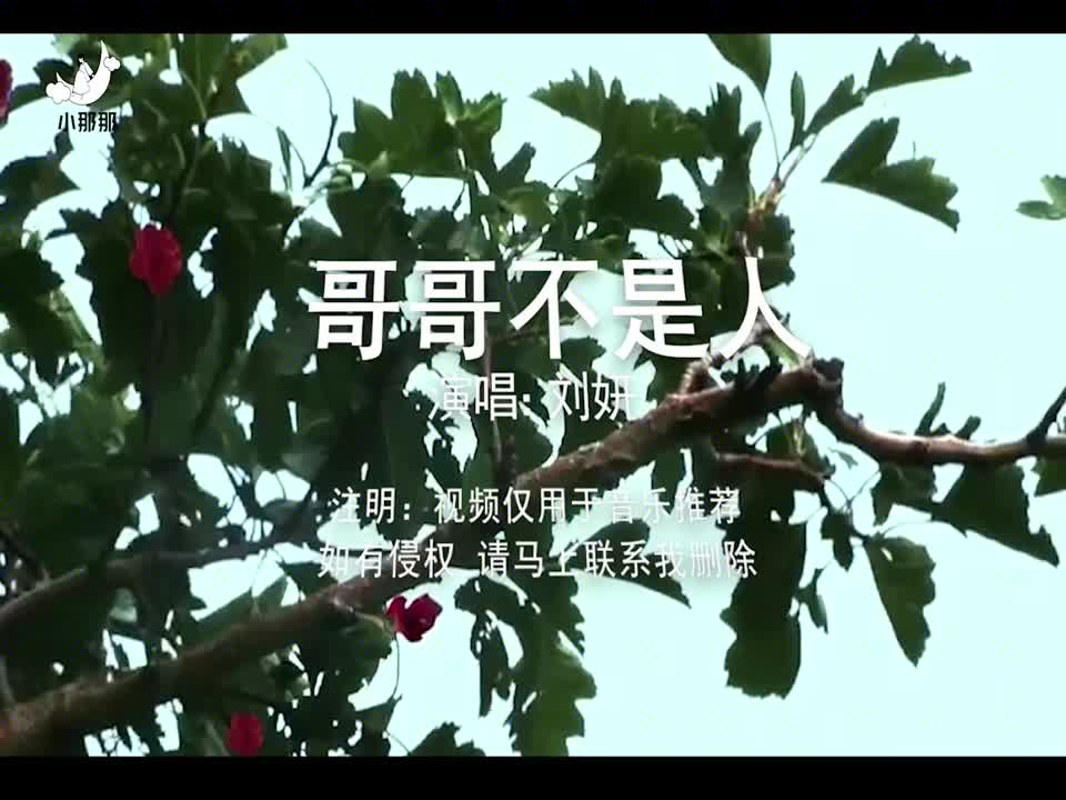 苦情歌手刘妍的《哥哥不是人》歌词戳心伤感,听得人心碎!