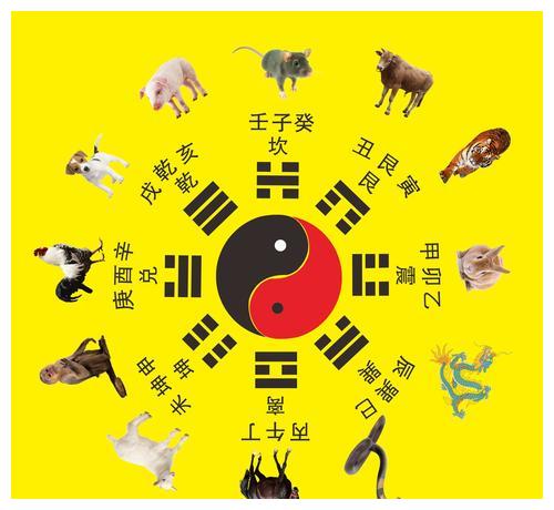 今年为什么叫壬寅年什么是干支纪元法