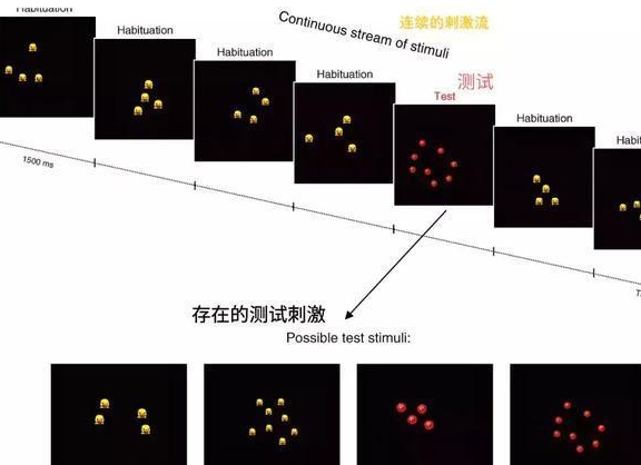 3个月就会数数？最好的数学早教只有1%的人知道！