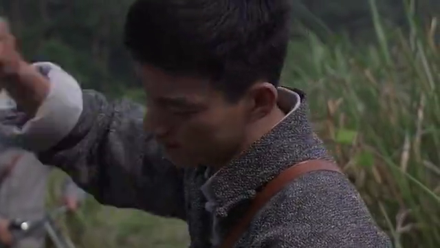 十三姨图片高清壁纸 b7b7-izwfpyt4221427.png